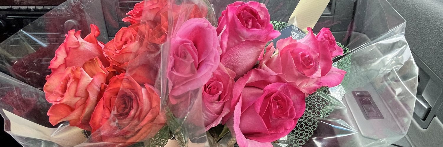 taylor 🫧🛸 banner