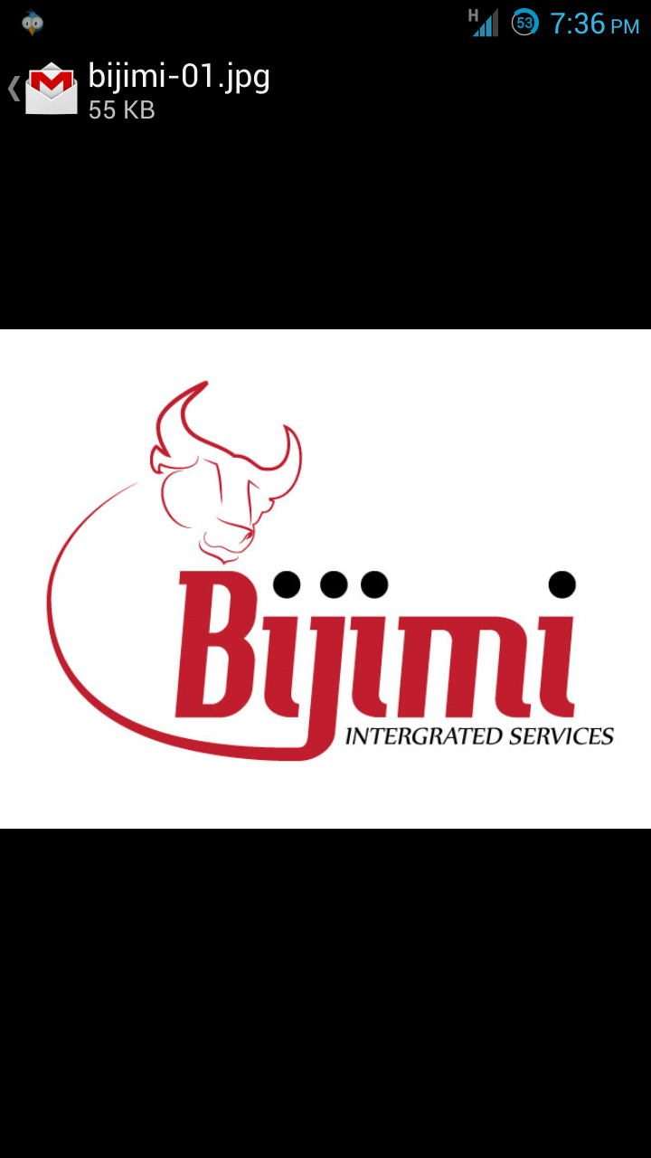 Bijimi's profile banner image