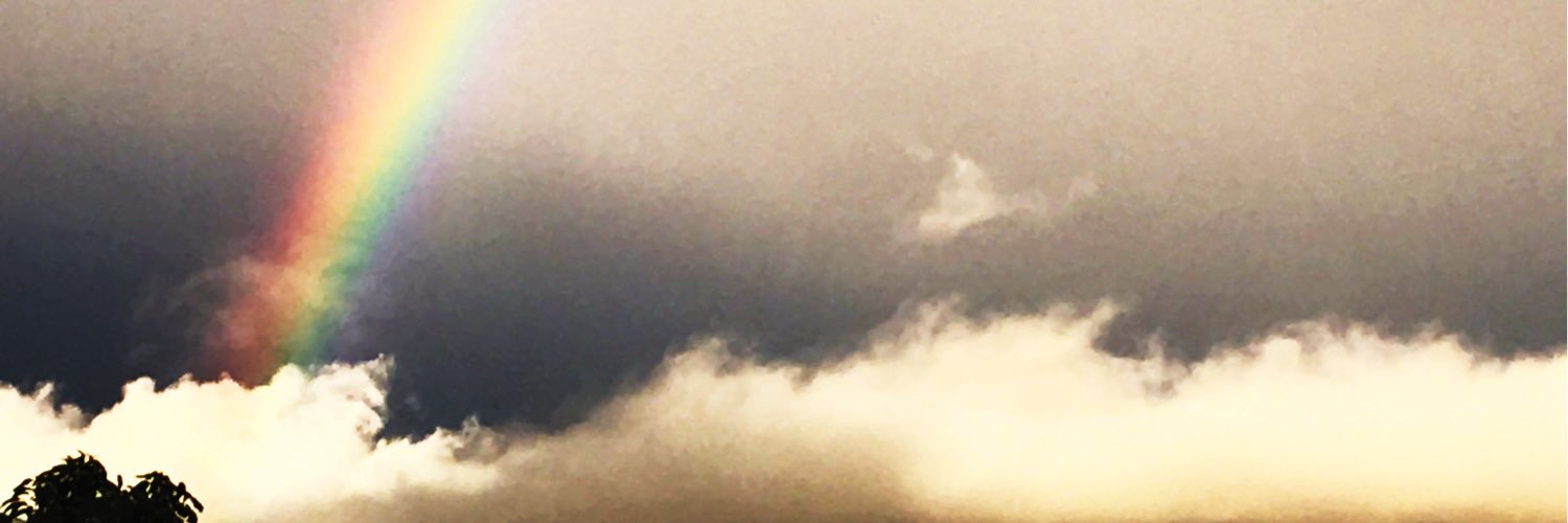 sortarockstar's profile banner image