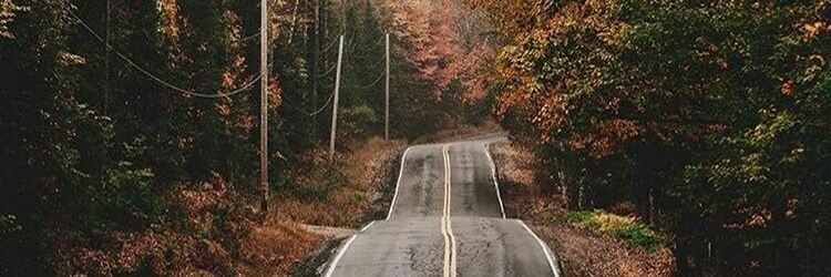 PlaidDyedMoose's profile banner image