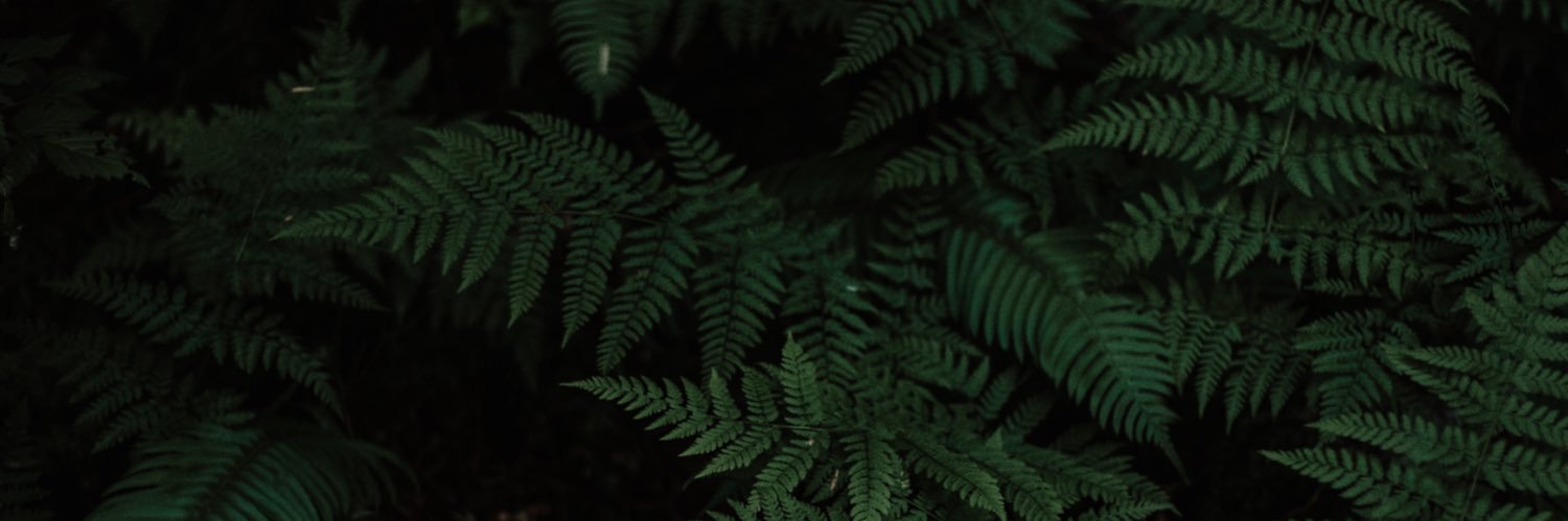 stuart_clift's profile banner image