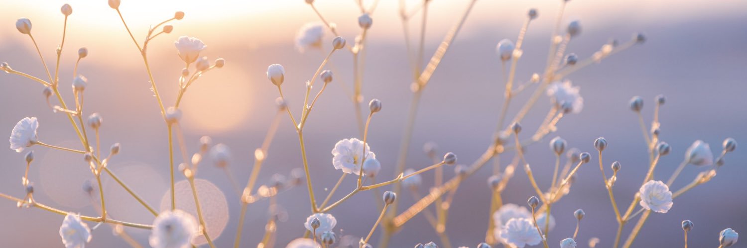 ✎ ̼ 🆁nirin꙳ banner