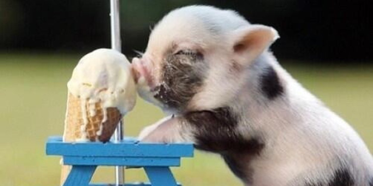 Pamela ☆ Jackson banner