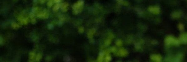 webb_kakw Profile Banner