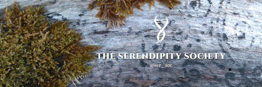 Serendipity Society banner