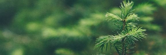 nottomwebster's profile banner image