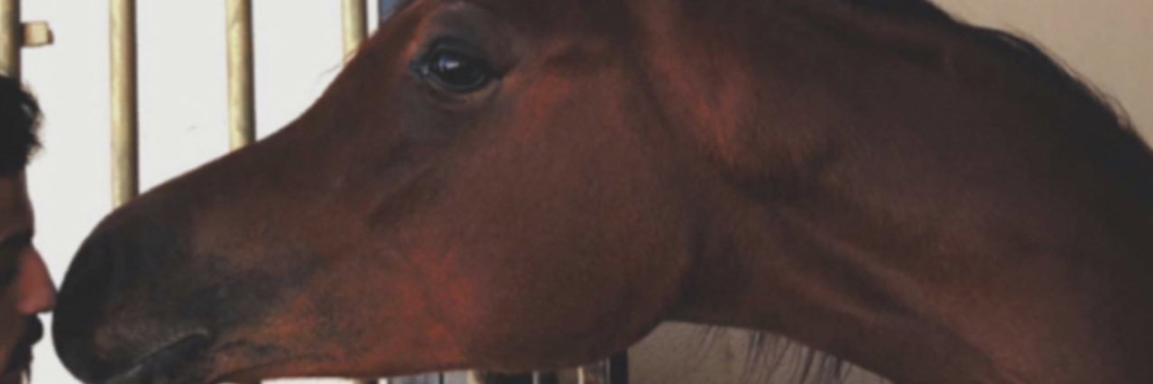 NasserRubayan's profile banner image