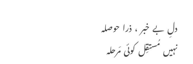 Nimra K🌻🇵🇸 banner