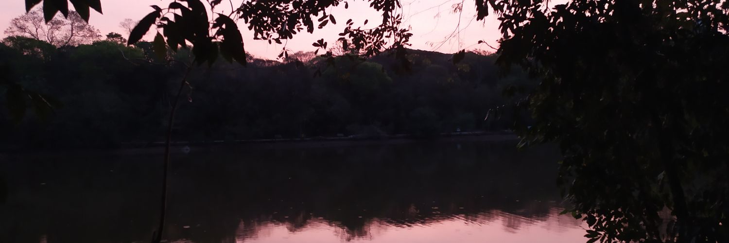 thuuani's profile banner image