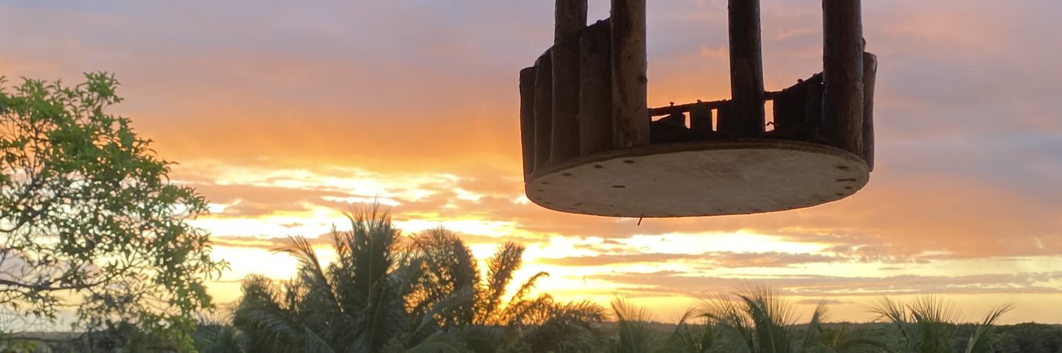 Sebastian Burrows F. banner