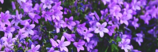daniikch's profile banner image