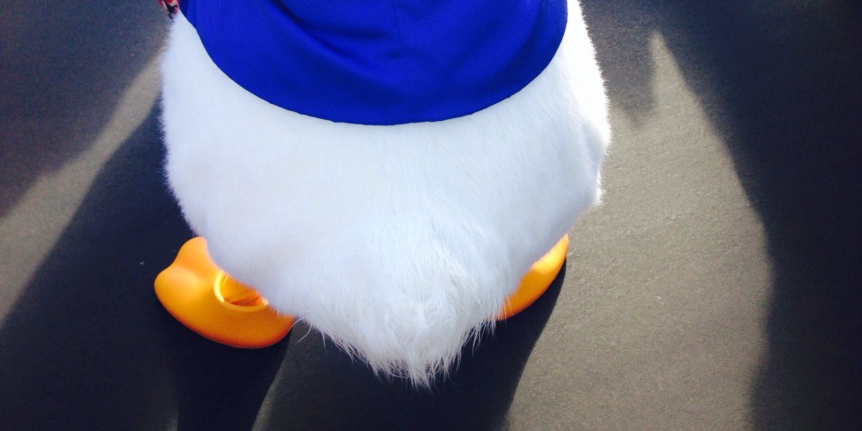 miya_1520's profile banner image