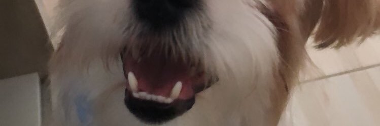 marialuize_n's profile banner image