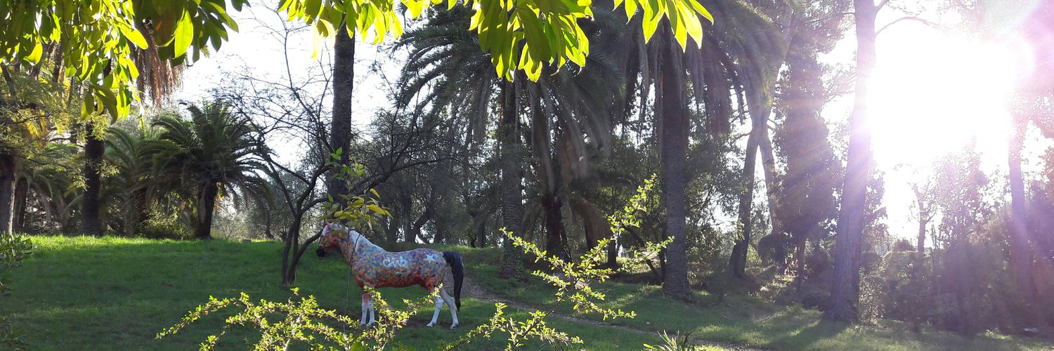 LAGomezNava's profile banner image