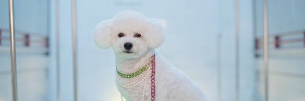 himering_oh Profile Banner