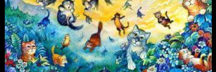 magic_tour's profile banner image