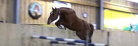 equinemechanics's profile banner image