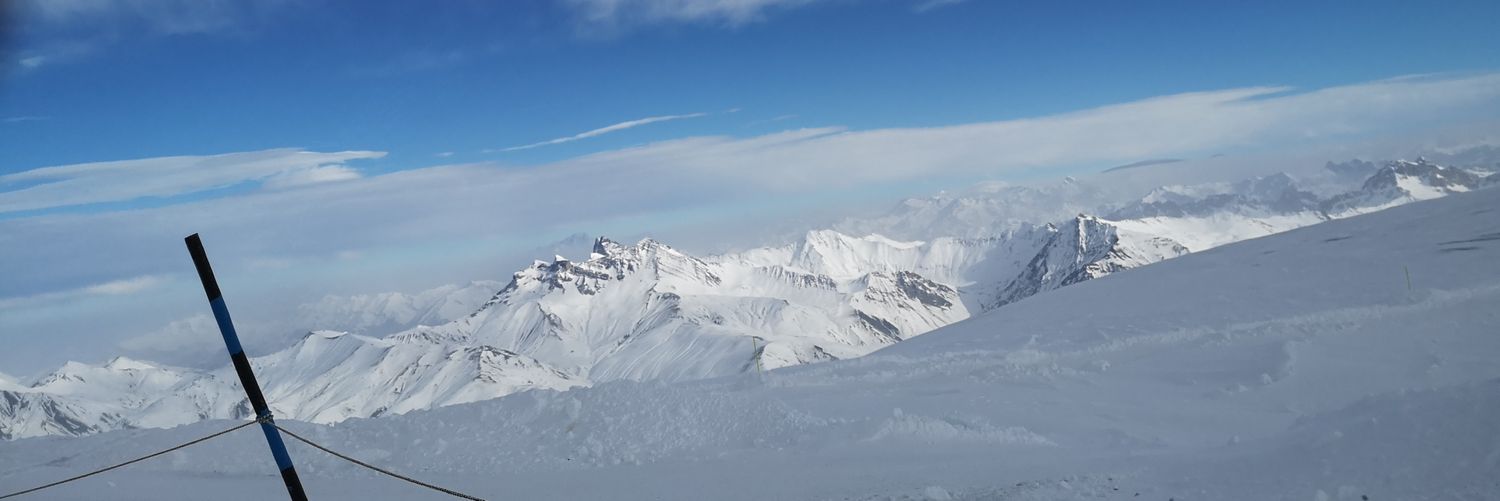 willwin_f's profile banner image