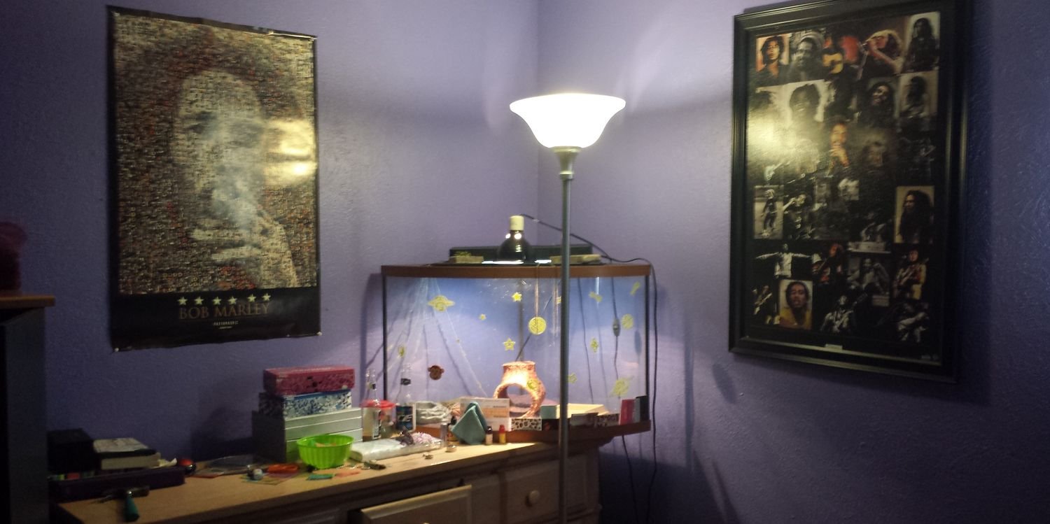 ABluefish's profile banner image