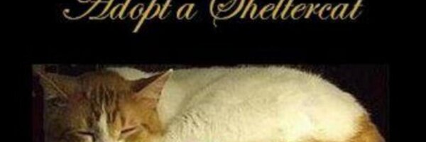 OldCatLady57 Profile Banner