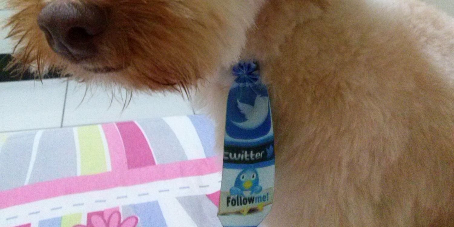 nanttuca's profile banner image