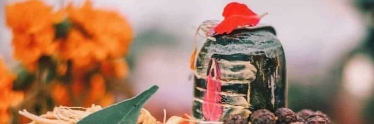 RBijarniaJAT's profile banner image