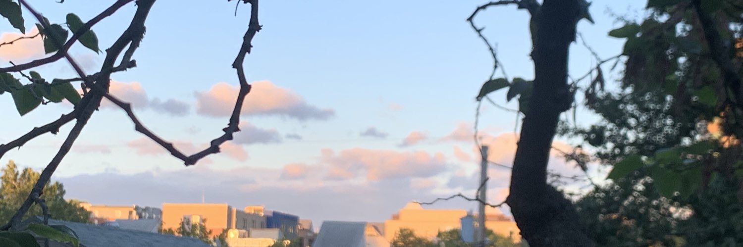 zoe 𓆏 banner