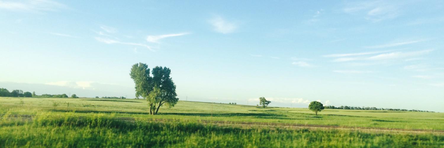 RaeannBramwell's profile banner image