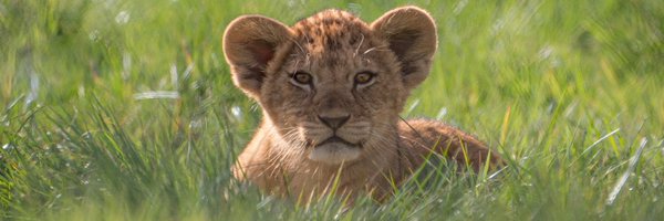 ZSLWhipsnadeZoo Profile Banner