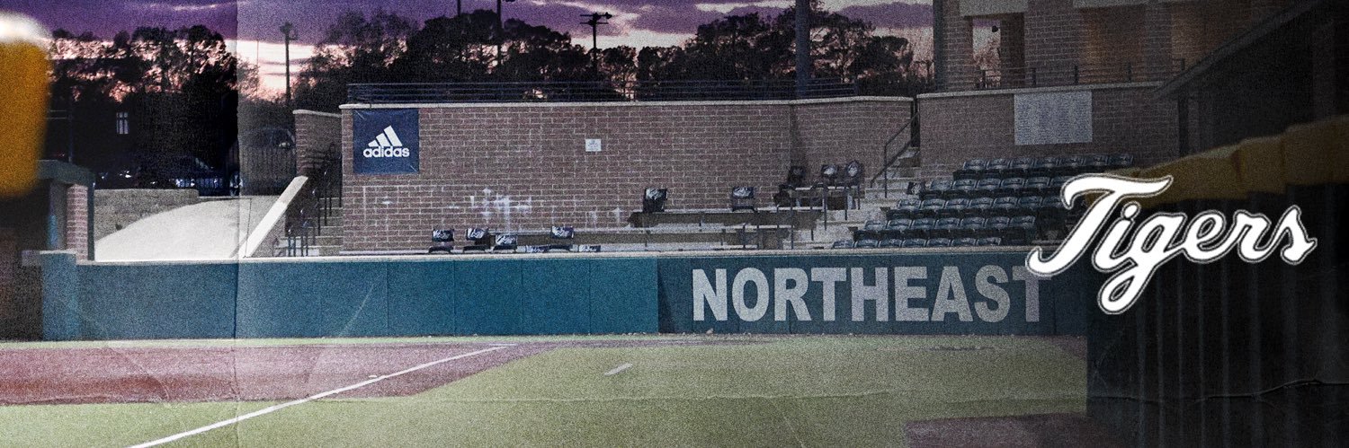 NEMCCSOFTBALL banner