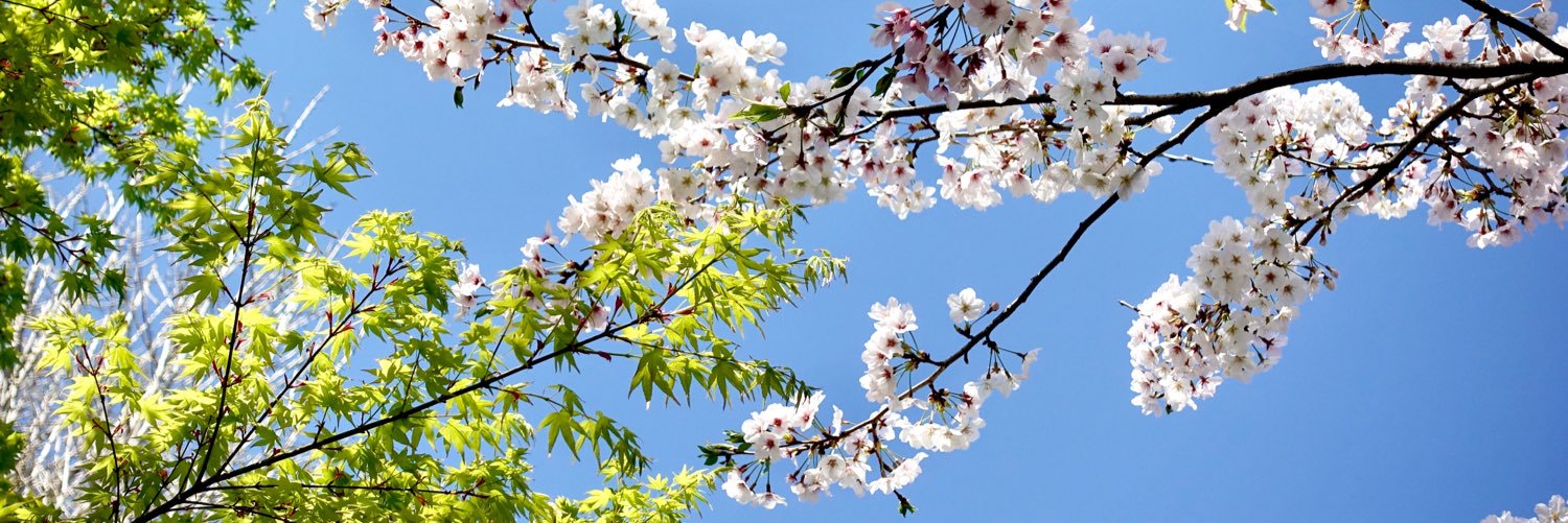 kitagawa_ya's profile banner image