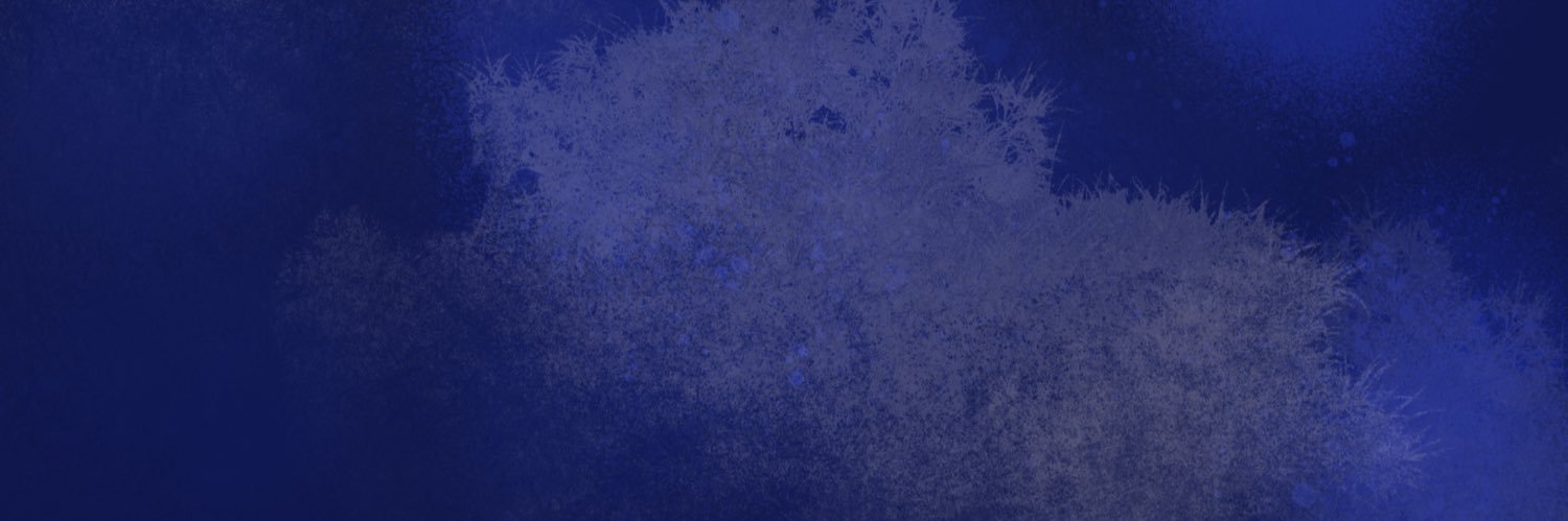 nerdsurely's profile banner image