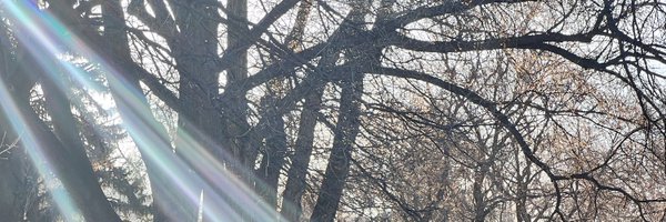 arxoxj Profile Banner