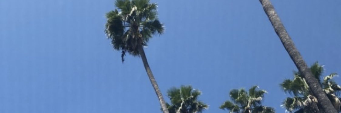 feo0o20's profile banner image