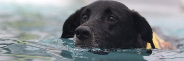 TheRetreatHydro's profile banner image