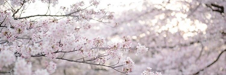 youhei_n's profile banner image