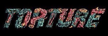 LSLxcvi's profile banner image