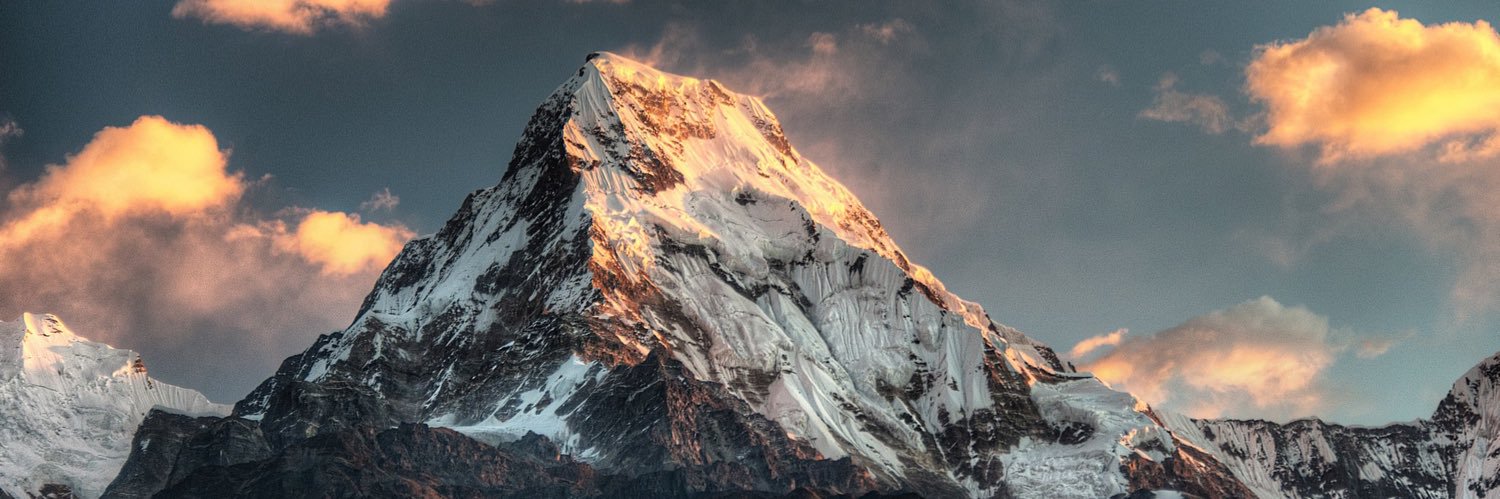 Aleyyo O Monsanto banner