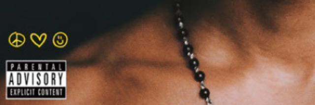 Melizarrd's profile banner image