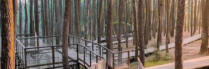 mbainggit's profile banner image