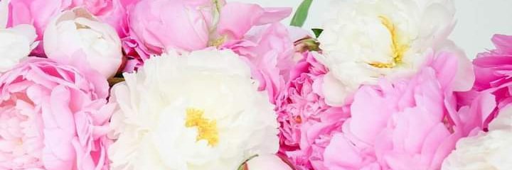 chikitahaydee's profile banner image