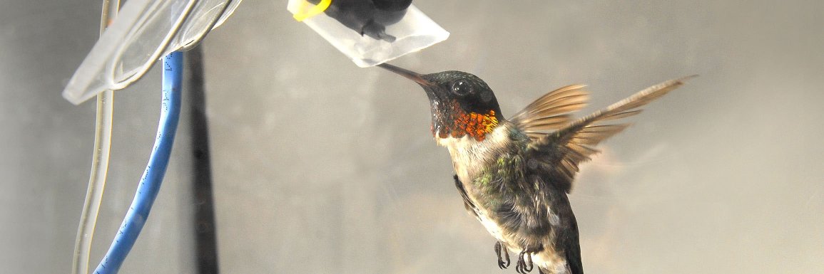 NSF Science 360 banner