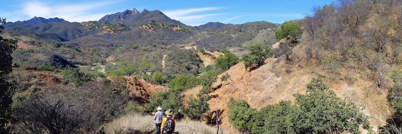 Silver Spruce Resources Inc. banner