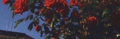 Fer_Osc4r's profile banner image