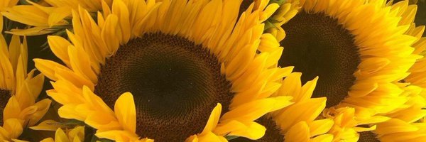 DAL3JR88FAN Profile Banner