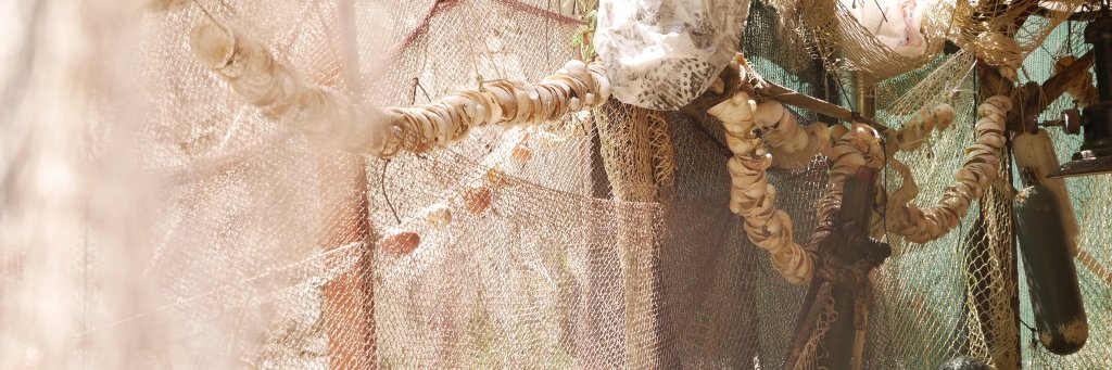 laurabonnet3's profile banner image