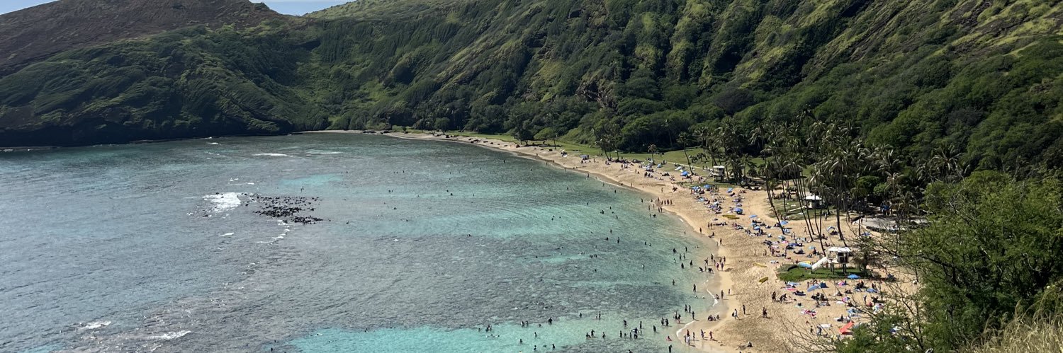 Libby Willier banner