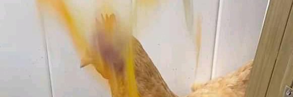 adtyaprtama's profile banner image