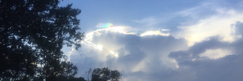 PMOwl's profile banner image