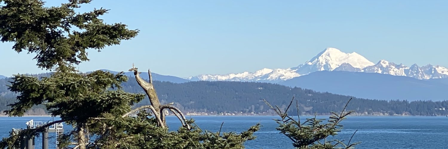 DustiDemarest's profile banner image